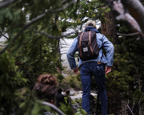 selective focus photo of man on forest