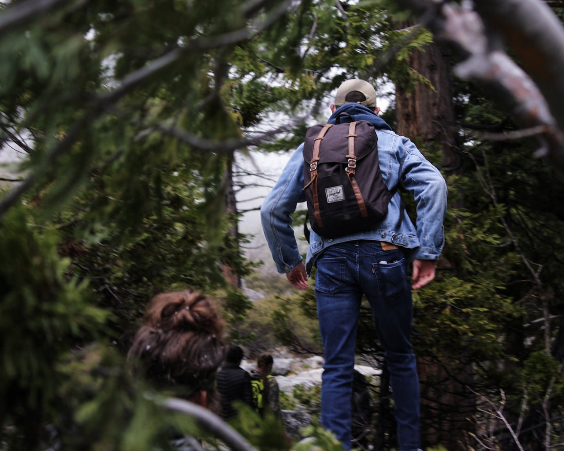 selective focus photo of man on forest