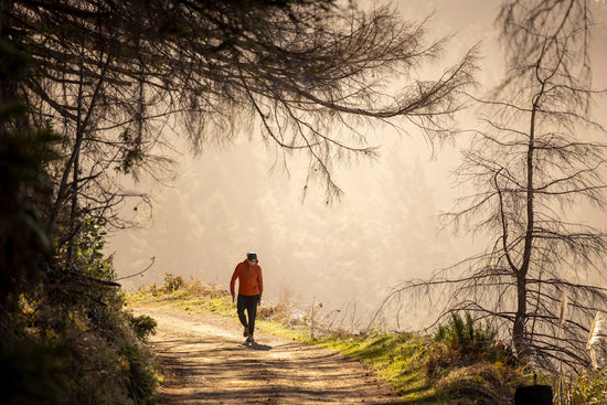 man in black jacket walking on pathway between bare trees during daytime