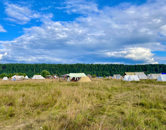 white and green houses on green grass field under blue and white cloudy sky during daytime
