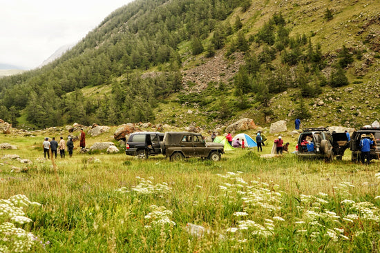people sitting on grass field near cars and mountains during daytime