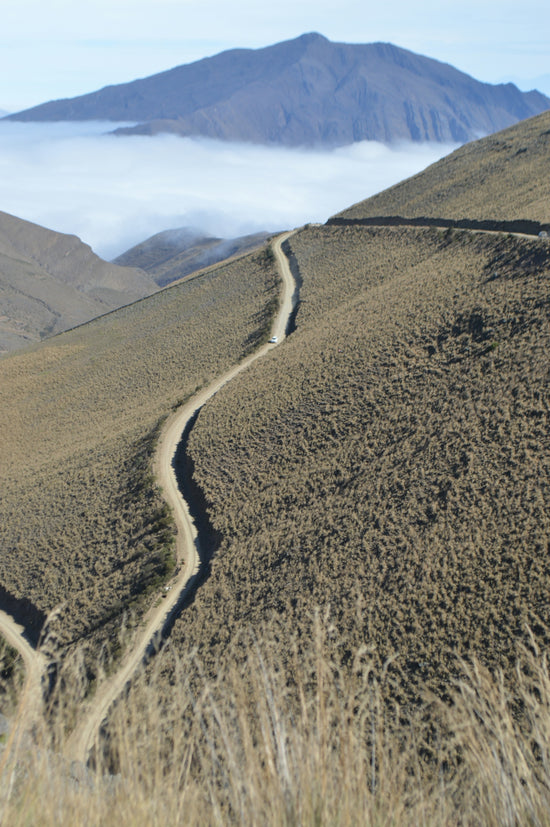 a road going through a valley