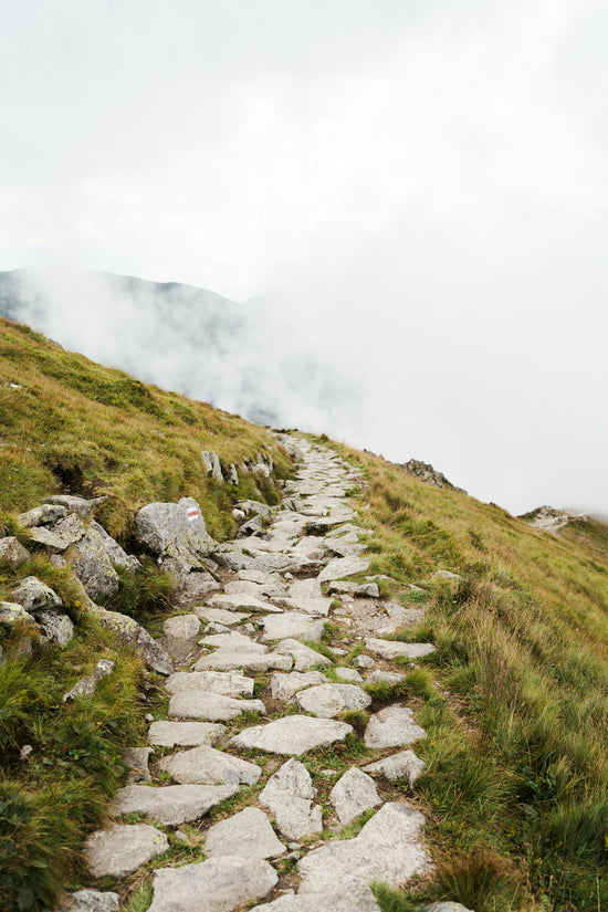 a rocky path with grass and fog