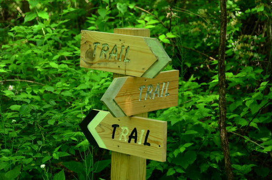 a wooden trail sign in the middle of a forest