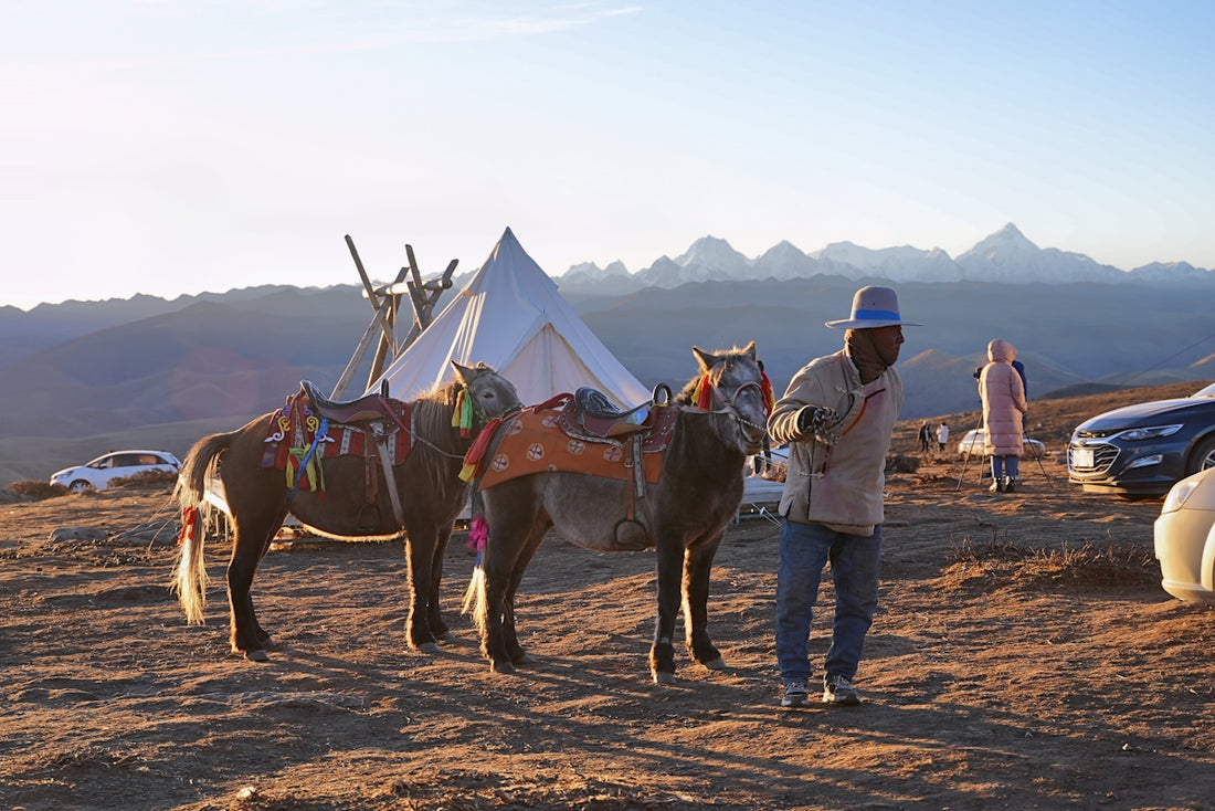 a man standing next to two horses in the desert