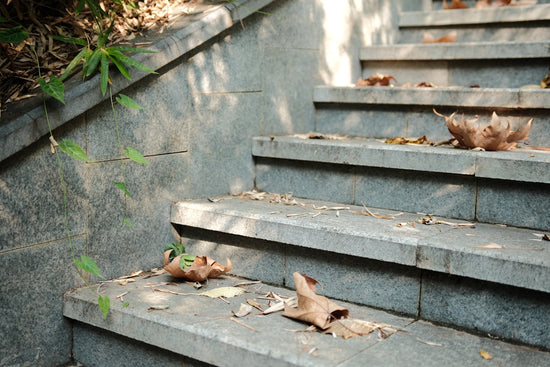 a bunch of steps that have fallen leaves on them