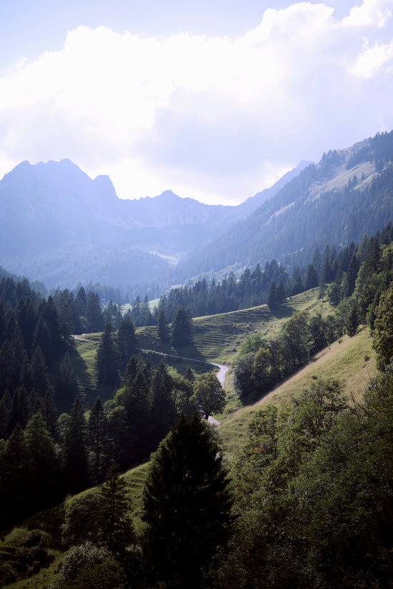 a scenic view of a valley with trees and mountains in the background