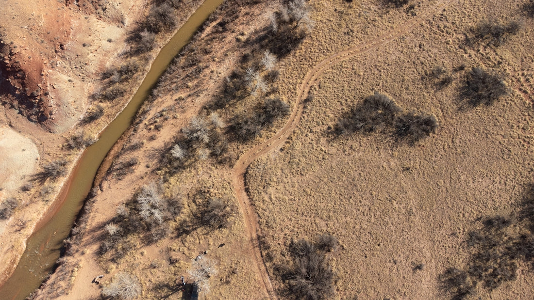 an aerial view of a river in the desert
