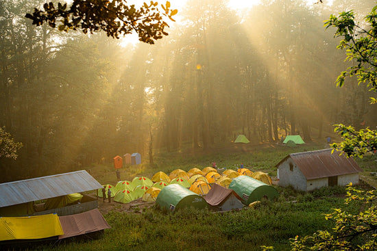 A group of tents sitting in the middle of a forest