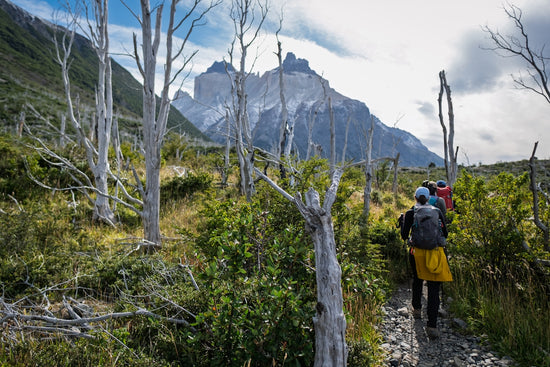 Hikers trek toward a majestic mountain range.