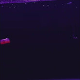 A Mock Lure Can Bounce With Slip Mechanism Artific